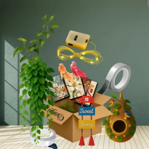 দেয়াল সাজানোর কম্বো প্যাকেজ পেইন্টিং ক্যানভাস বাবুই পাখির বাসা লতা টেপ হুক ফেরী লাইট সেট